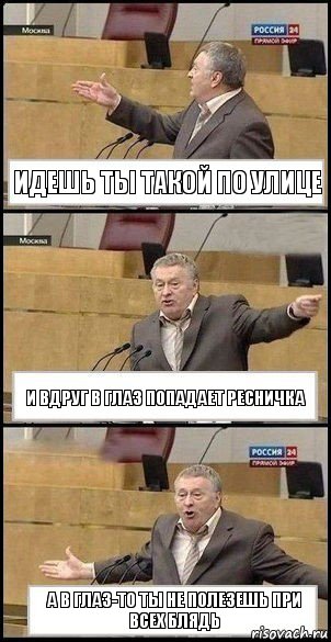 идешь ты такой по улице и вдруг в глаз попадает ресничка а в глаз-то ты не полезешь при всех блядь, Комикс Жириновский разводит руками 3