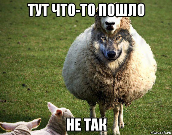 тут что-то пошло не так, Мем Злая Овца