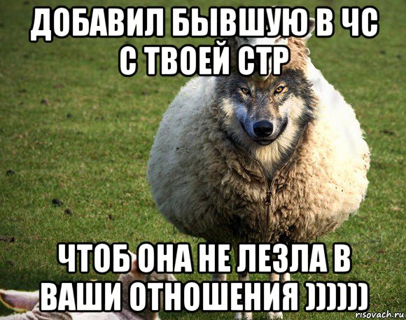 добавил бывшую в чс с твоей стр чтоб она не лезла в ваши отношения )))))), Мем Злая Овца