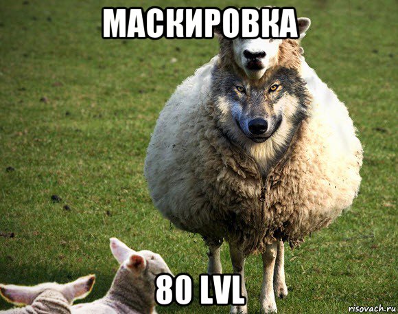 маскировка 80 lvl, Мем Злая Овца