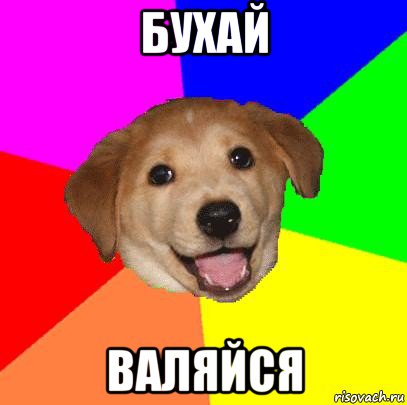 бухай валяйся, Мем Advice Dog