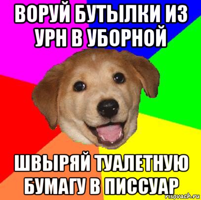 воруй бутылки из урн в уборной швыряй туалетную бумагу в писсуар, Мем Advice Dog