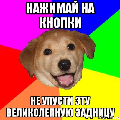 нажимай на кнопки не упусти эту великолепную задницу, Мем Advice Dog