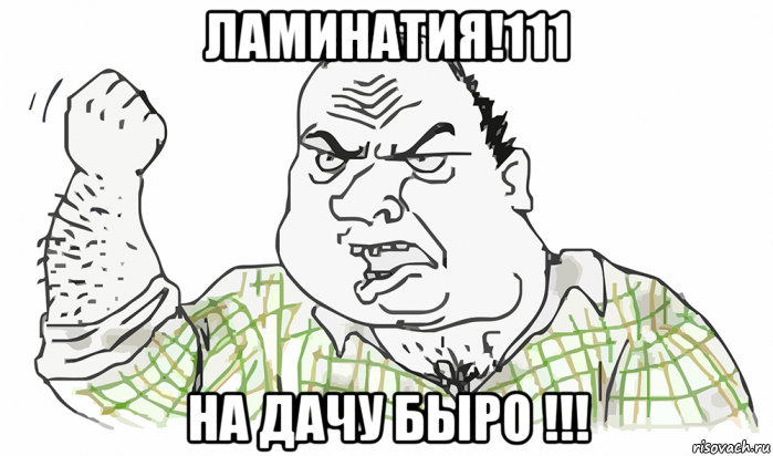 ламинатия!111 на дачу быро !!!, Мем Будь мужиком