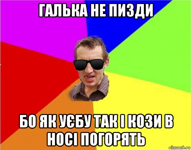 галька не пизди бо як уєбу так і кози в носі погорять, Мем Чьоткий двiж