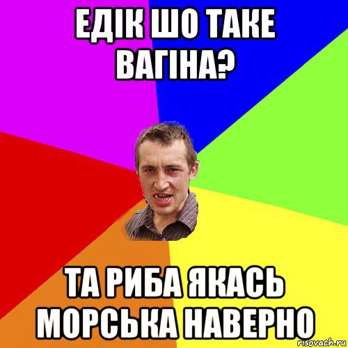 едік шо таке вагіна? та риба якась морська наверно, Мем Чоткий паца