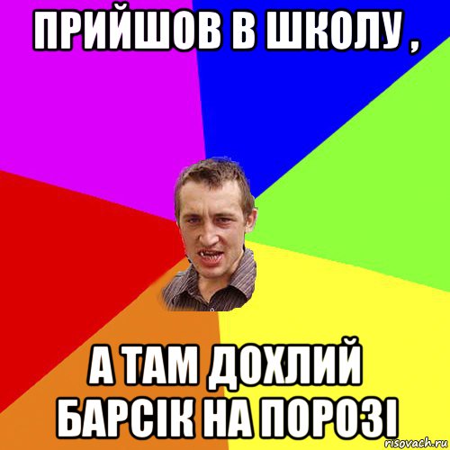 прийшов в школу , а там дохлий барсік на порозі, Мем Чоткий паца