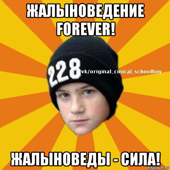 жалыноведение forever! жалыноведы - сила!, Мем  Циничный школьник