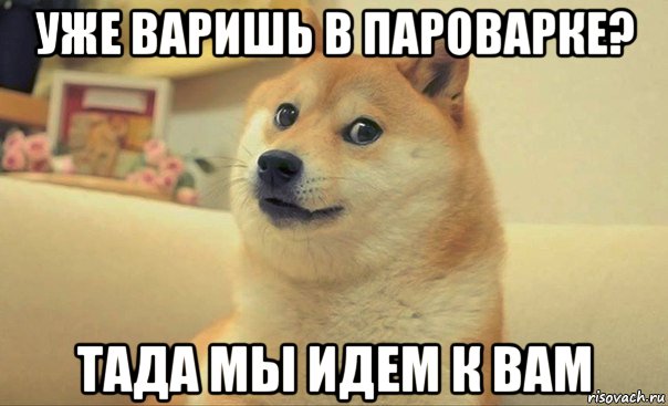 уже варишь в пароварке? тада мы идем к вам, Мем DOGE