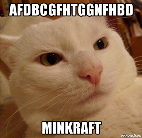 afdbcgfhtggnfhbd minkraft, Мем Дерзкий котэ