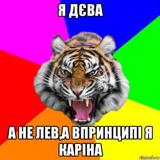 я дєва а не лев,а впринципі я каріна, Мем  ДЕРЗКИЙ ТИГР