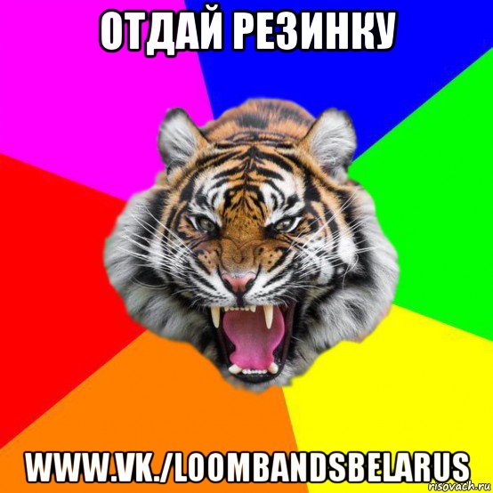 отдай резинку www.vk./loombandsbelarus, Мем  ДЕРЗКИЙ ТИГР