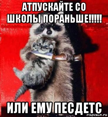 атпускайте со школы пораньше!!!!! или ему песдетс, Мем  енот с котенком