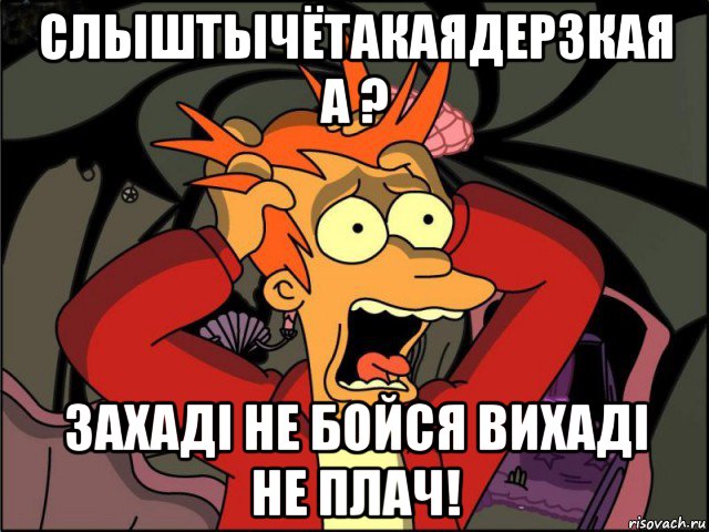 слыштычётакаядерзкая а ? захаді не бойся вихаді не плач!, Мем Фрай в панике