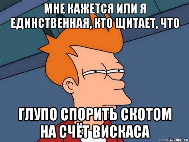 мне кажется или я единственная, кто щитает, что глупо спорить скотом на счёт вискаса, Мем  Фрай (мне кажется или)