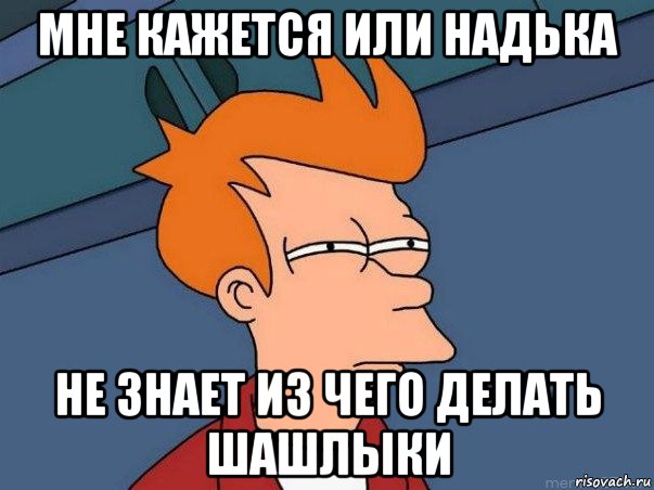 мне кажется или надька не знает из чего делать шашлыки, Мем  Фрай (мне кажется или)