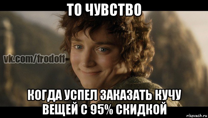 то чувство когда успел заказать кучу вещей с 95% скидкой, Мем  Фродо