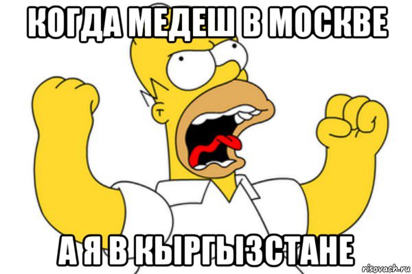 когда медеш в москве а я в кыргызстане, Мем Разъяренный Гомер