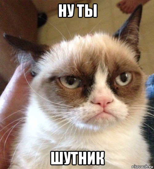 ну ты шутник