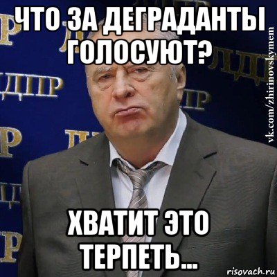 что за деграданты голосуют? хватит это терпеть..., Мем Хватит это терпеть (Жириновский)