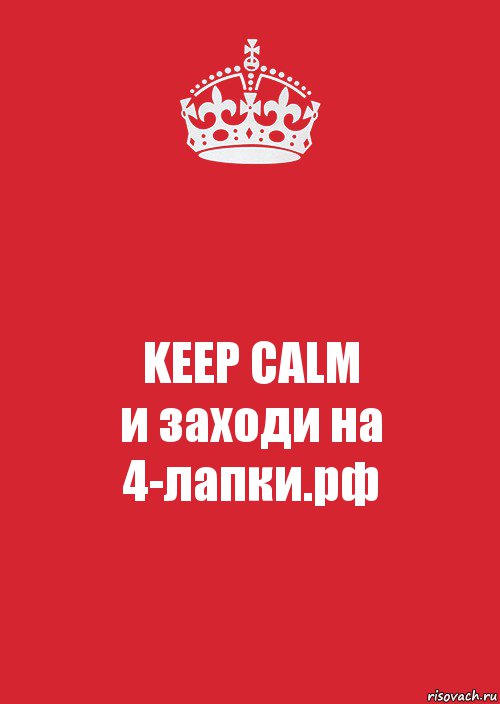 KEEP CALM
и заходи на 4-лапки.рф, Комикс Keep Calm 3