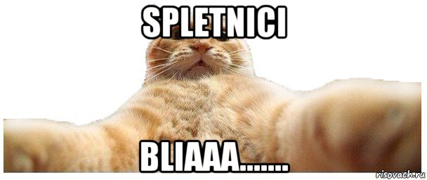 spletnici bliaaa......., Мем   Кэтсвилл