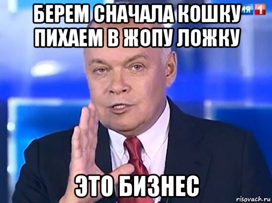 берем сначала кошку пихаем в жопу ложку это бизнес, Мем Киселёв 2014