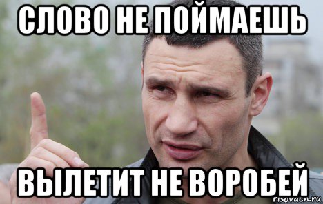 слово не поймаешь вылетит не воробей