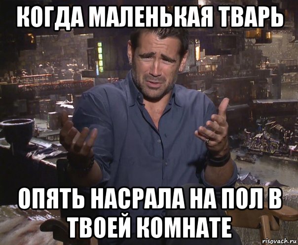 когда маленькая тварь опять насрала на пол в твоей комнате, Мем колин фаррелл удивлен