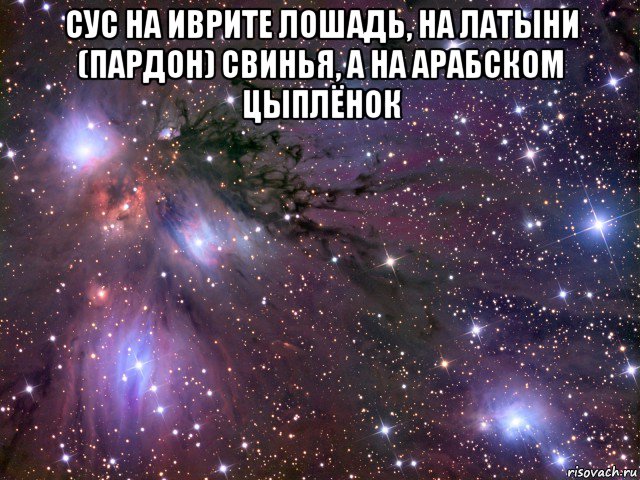 сус на иврите лошадь, на латыни (пардон) свинья, а на арабском цыплёнок , Мем Космос