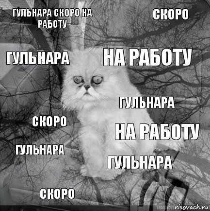 Гульнара скоро на работу на работу на работу скоро скоро скоро Гульнара Гульнара Гульнара Гульнара, Комикс  кот безысходность