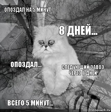 опоздал на 5 минут следующий завоз через 8 дней 8 дней... всего 5 минут... опоздал...     , Комикс  кот безысходность