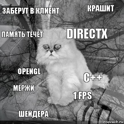 заберут в клиент С++ DirectX Шейдера OpenGL Крашит 1 FPS Память течет мержи , Комикс  кот безысходность