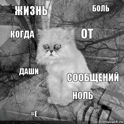 жизнь сообщений от =( даши боль ноль когда  , Комикс  кот безысходность