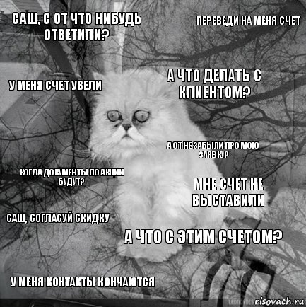 Саш, с ОТ что нибудь ответили? Мне счет не выставили А что делать с клиентом? У меня контакты кончаются Когда документы по акции будут? Переведи на меня счет А что с этим счетом? У меня счет увели Саш, согласуй скидку А ОТ не забыли про мою заявку?, Комикс  кот безысходность