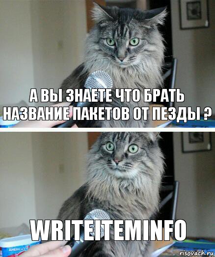 А вы знаете что брать название пакетов от пезды ? WriteItemInfo, Комикс  кот с микрофоном