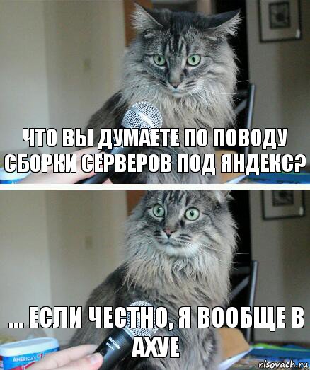 что вы думаете по поводу сборки серверов под яндекс? ... если честно, я вообще в ахуе, Комикс  кот с микрофоном