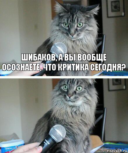 Шибаков, а вы вообще осознаете, что критика сегодня? , Комикс  кот с микрофоном