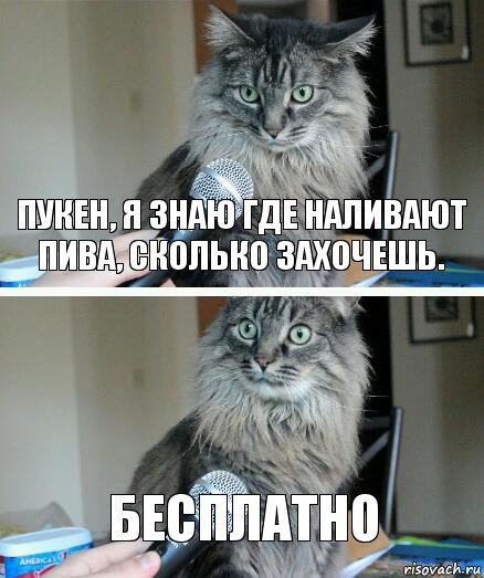 Пукен, я знаю где наливают пива, сколько захочешь. Бесплатно, Комикс  кот с микрофоном