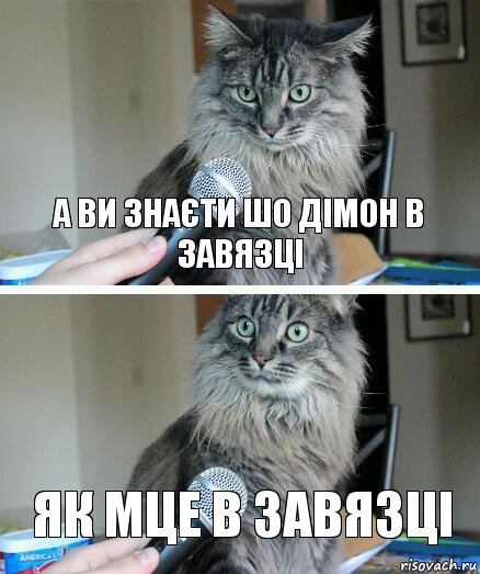 А ви знаєти шо Дімон в завязці як мце в завязці, Комикс  кот с микрофоном