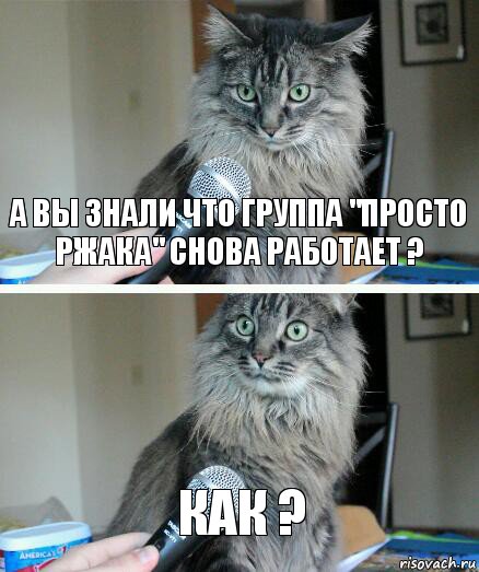 А вы знали что группа "Просто ржака" Снова работает ? Как ?, Комикс  кот с микрофоном