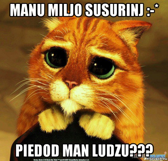 manu miljo susurinj :-* piedod man ludzu???, Мем Котик из Шрека