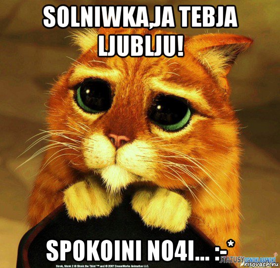 solniwka,ja tebja ljublju! spokoini no4i... :-*, Мем Котик из Шрека