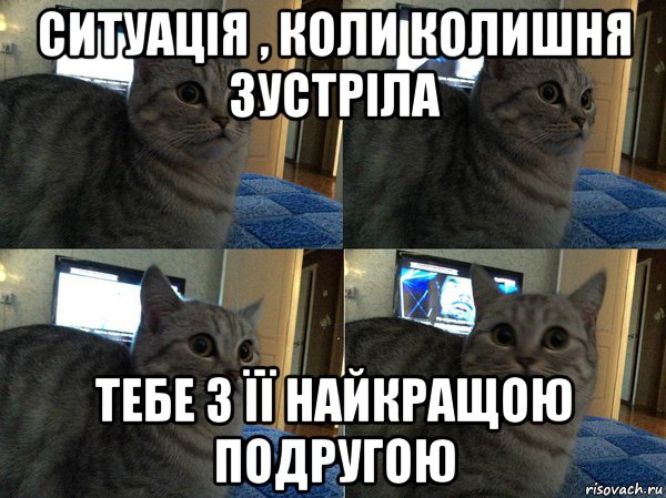 ситуація , коли колишня зустріла тебе з її найкращою подругою, Мем  Кот в шоке