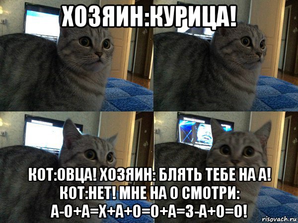 хозяин:курица! кот:овца! хозяин: блять тебе на а! кот:нет! мне на о смотри: а-о+а=х+а+о=о+а=з-а+о=о!, Мем  Кот в шоке