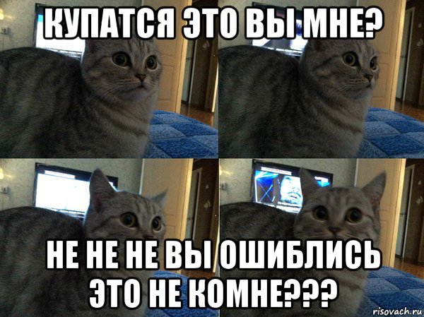 купатся это вы мне? не не не вы ошиблись это не комне???, Мем  Кот в шоке