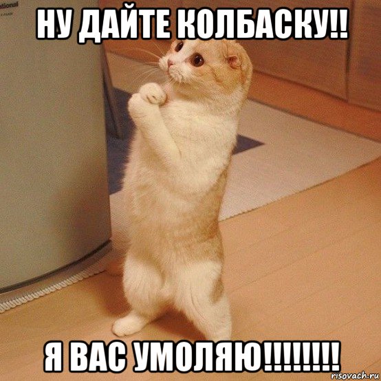 ну дайте колбаску!! я вас умоляю!!!!!!!!