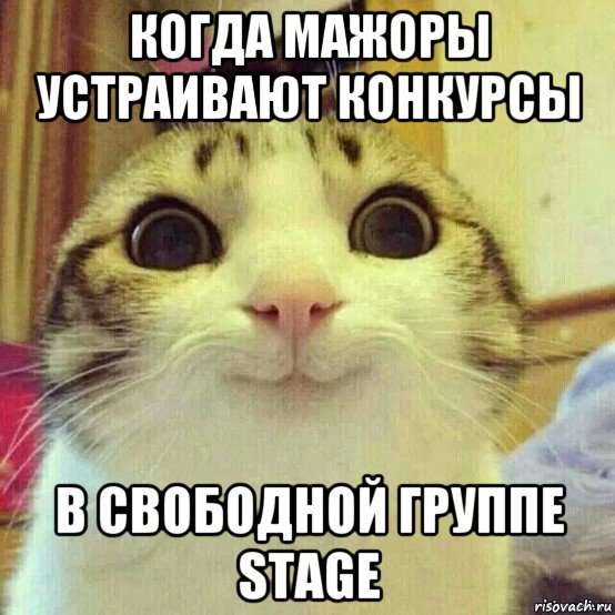 когда мажоры устраивают конкурсы в свободной группе stage, Мем       Котяка-улыбака