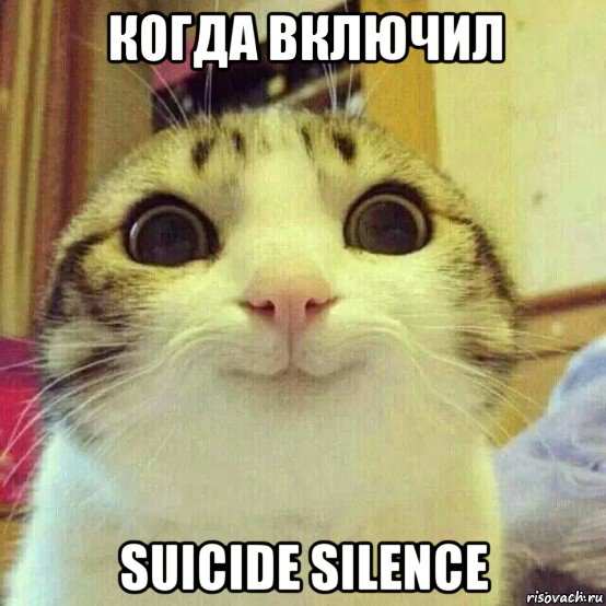 когда включил suicide silence, Мем       Котяка-улыбака