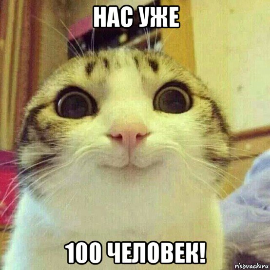 нас уже 100 человек!, Мем       Котяка-улыбака